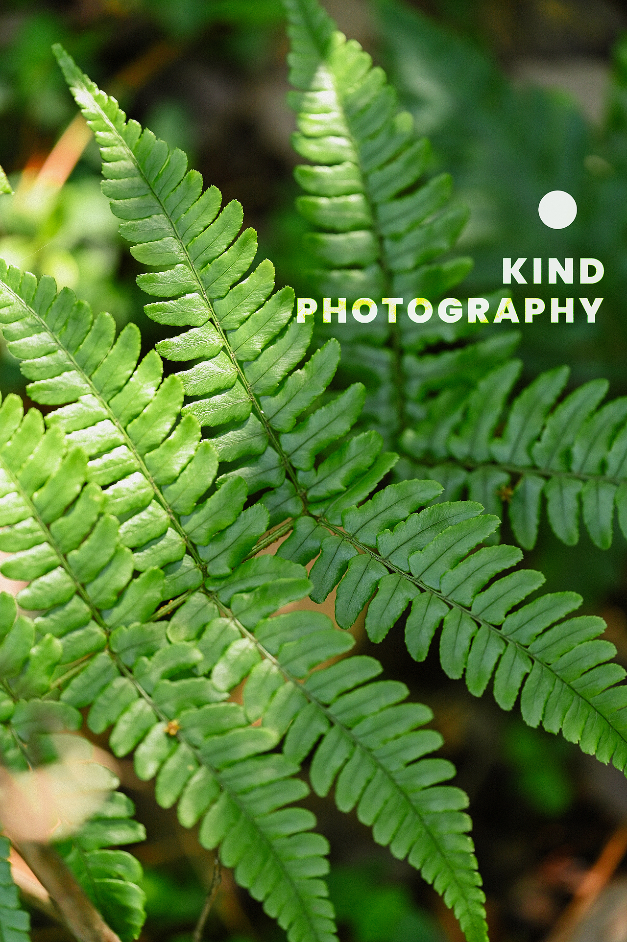 奔向夏的春天| 亲切长沙