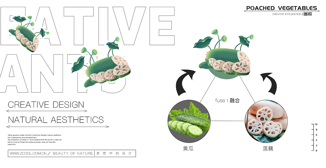 Botany创意植物插画×元素海报