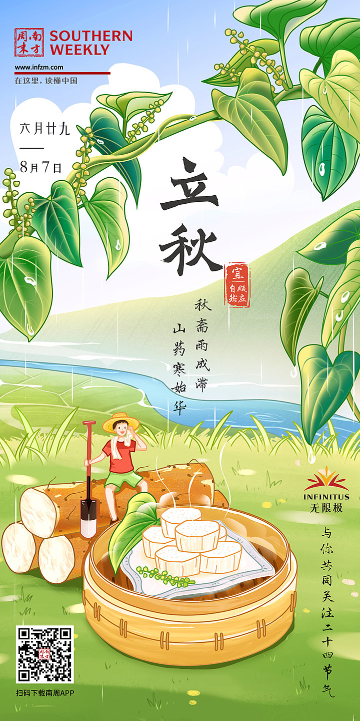 立秋 手绘 节气海报 24节气 山药 淮山