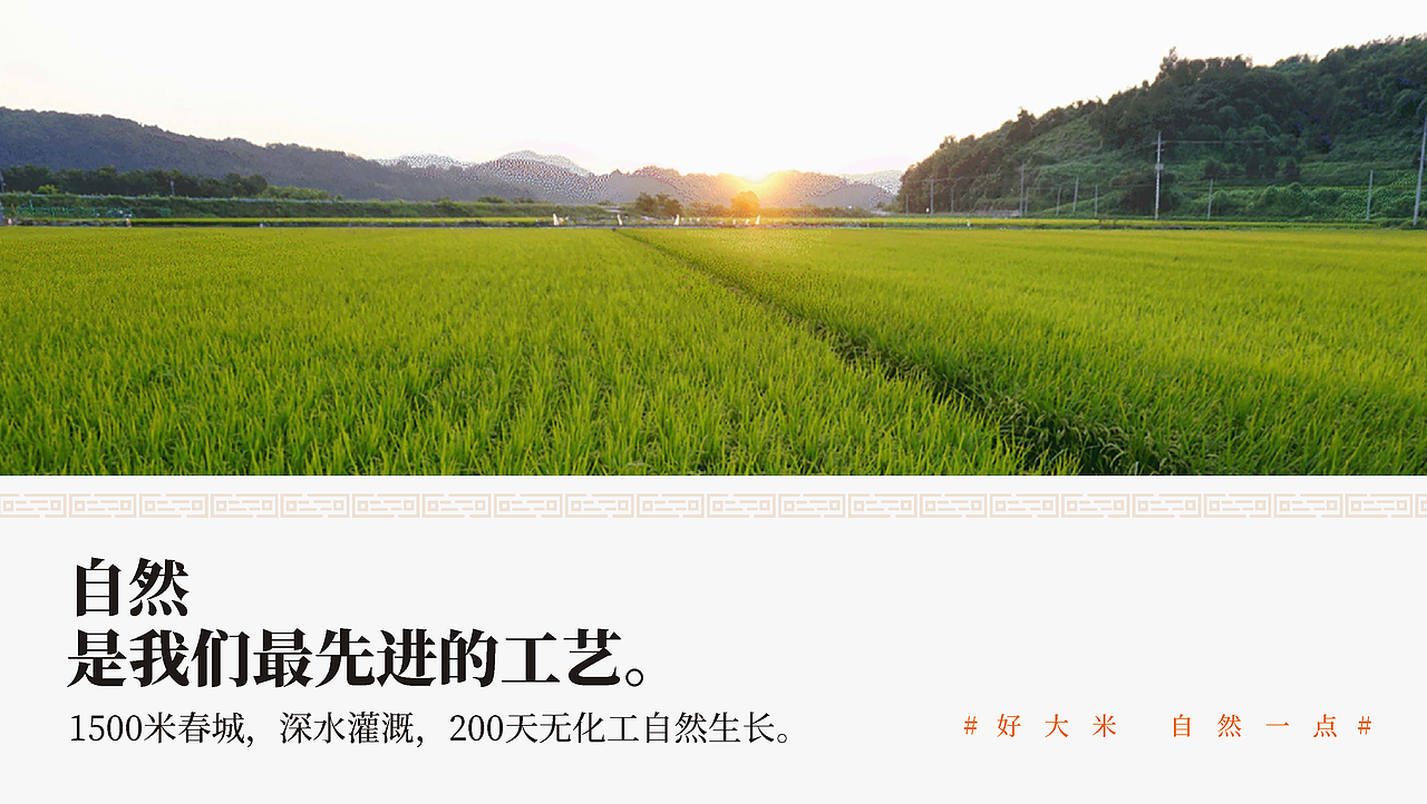 安宁河谷1500米×此山｜与西昌政府合作的大米品牌全案（图ZMzQxMjg3MjQ4） - 品牌 - 站酷设计师此山品牌设计原创素材 - 站酷ZCOOL