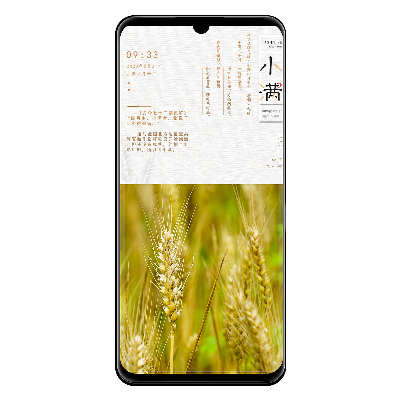 二十四节气——小满（图ZMzI5MDE4ODI0） - 海报 - 站酷设计师一只梓柒染原创素材 - 站酷ZCOOL