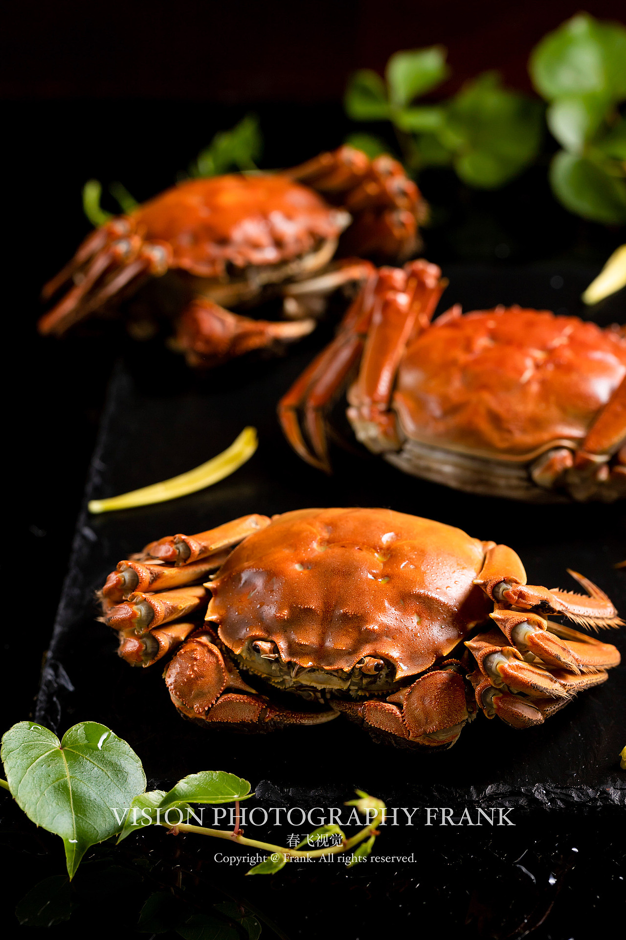 金秋十月-大闸蟹（图ZMzEyMTc0Nzgw） - 美食摄影 - 站酷设计师美食摄影师法兰克原创素材 - 站酷ZCOOL