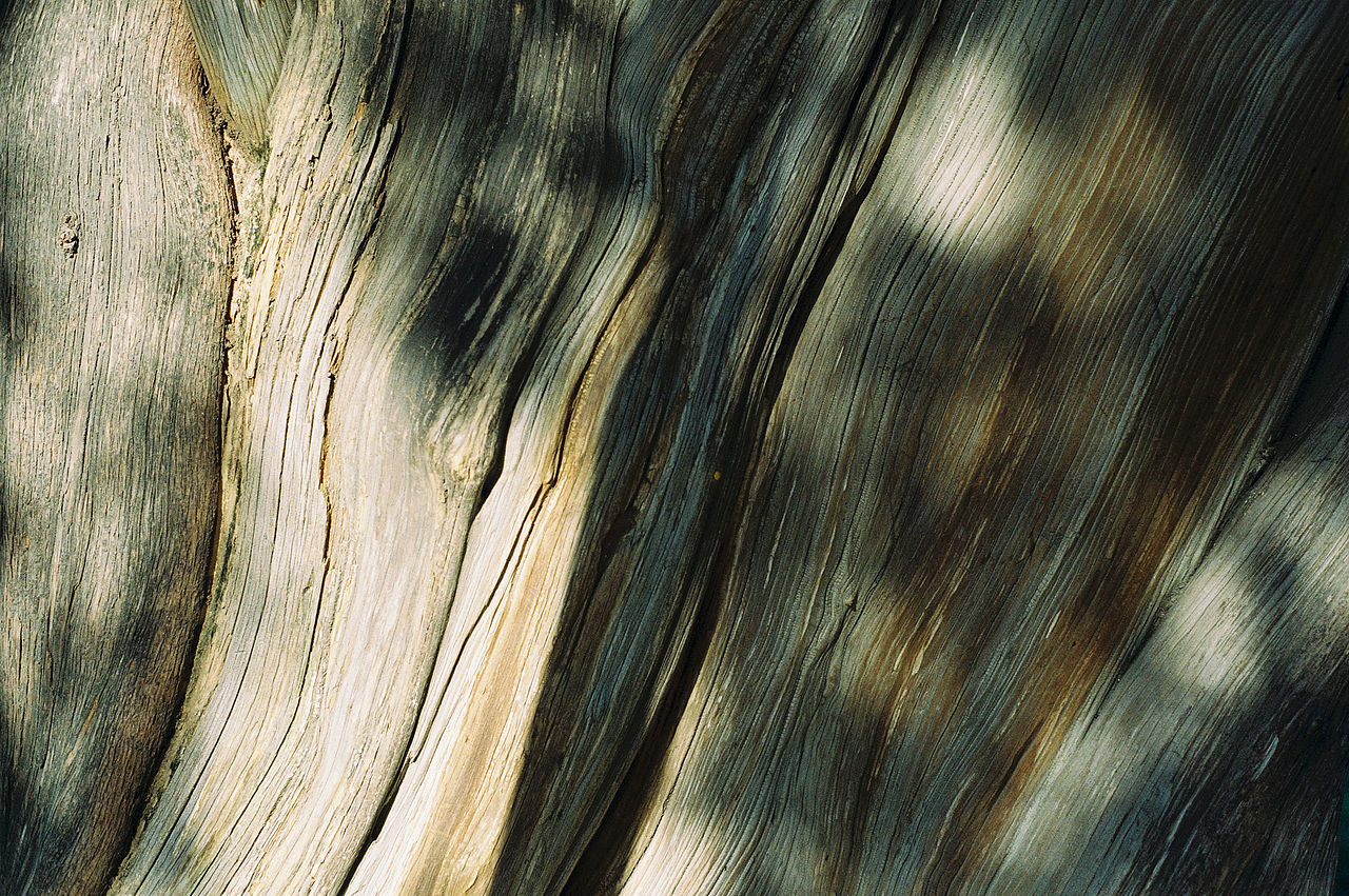 【胶片】十年前的北京（图ZMzU3MDM1MDAw） - 人文/纪实摄影 - 站酷设计师付诗意PHOTO原创素材 - 站酷ZCOOL