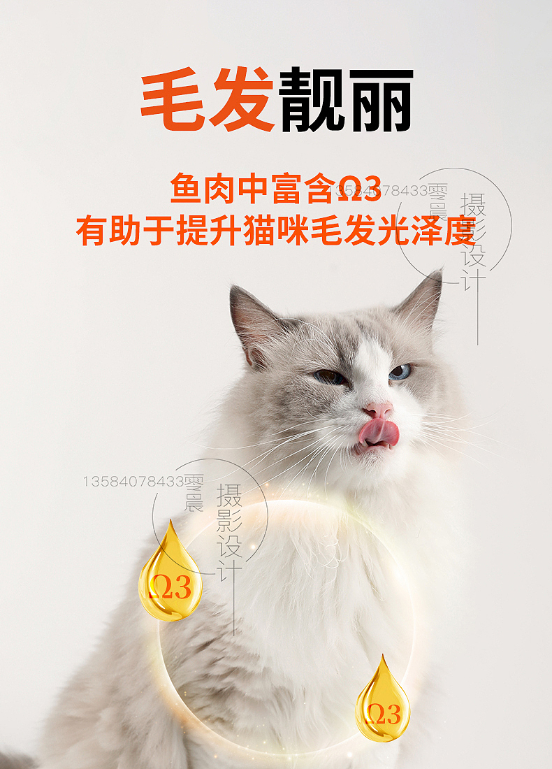 淘宝详情设计宠物用品摄影亚马逊视频制作主图跨境电商（图ZMzUwOTM5OTY4） - 电商 - 站酷设计师零晨视觉摄影原创素材 - 站酷ZCOOL