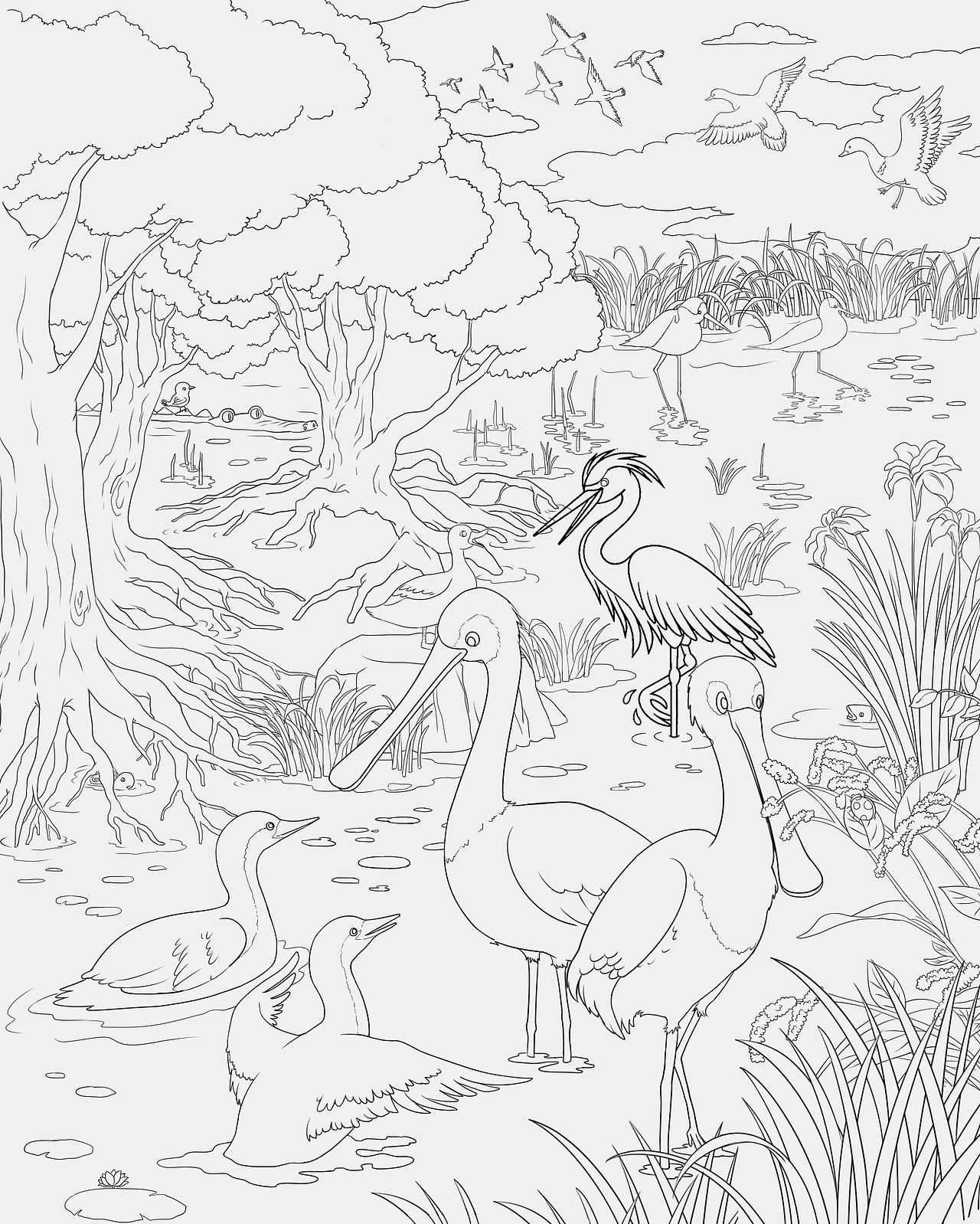 找不同（已商用）