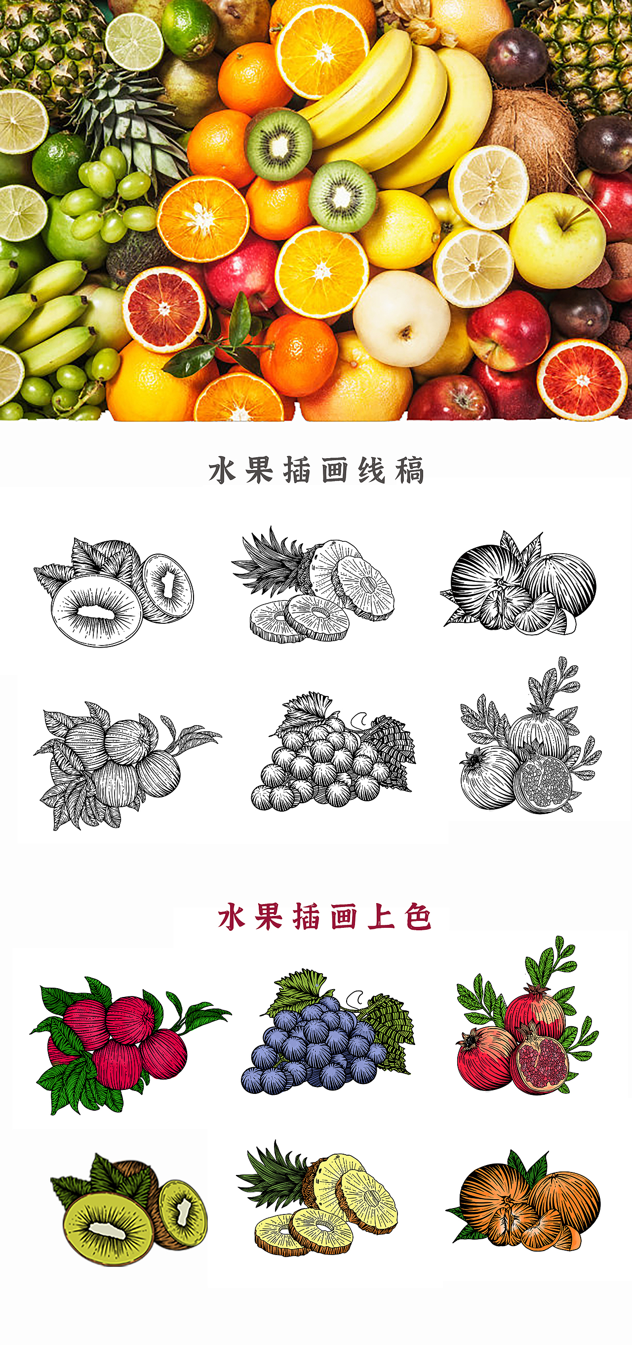 水果包装（图ZMzE3NDU3OTMy） - 商业插画 - 站酷设计师零度设计师原创素材 - 站酷ZCOOL