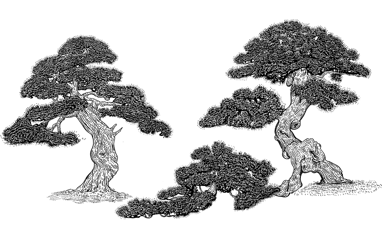 复古·包装插画（图ZMzA5NjU2Mjg0） - 商业插画 - 站酷设计师阿道插画原创素材 - 站酷ZCOOL