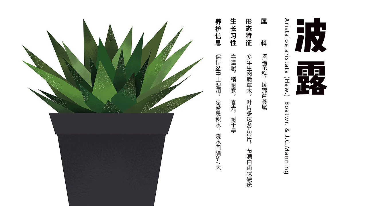 【BOLU】绿植品牌VI-Green plant design（图ZMzAzMDQxNTc2） - Logo - 站酷设计师卷卷心呀原创素材 - 站酷ZCOOL