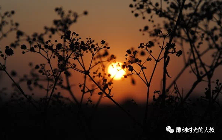 狂野西部人像（图ZMzUzMjQ5MDMy） - 人像摄影 - 站酷设计师frank_69原创素材 - 站酷ZCOOL