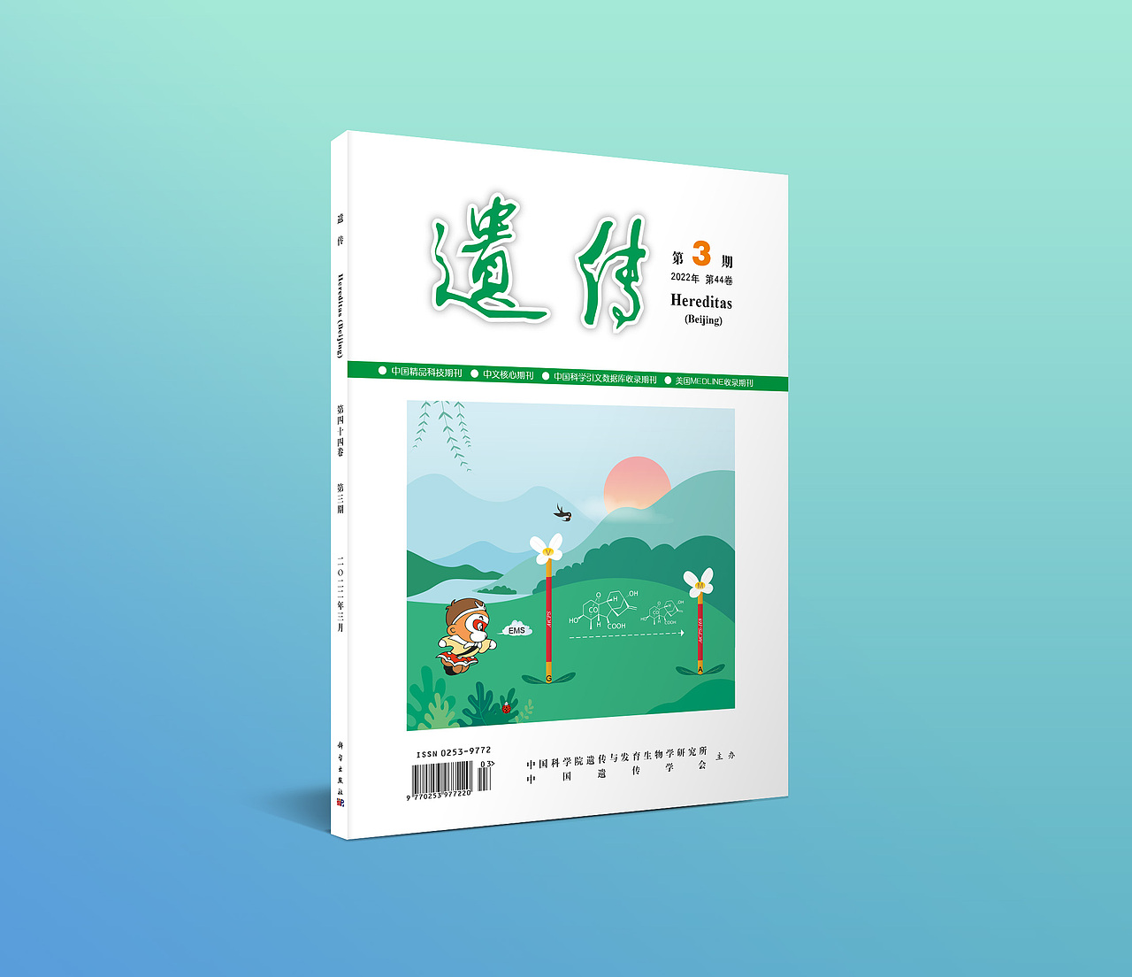 插画—封面设计