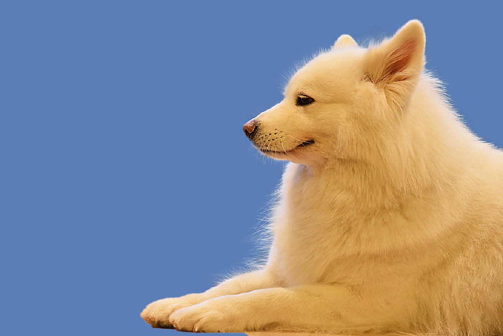 抠图练习 熟练PS 的第二天