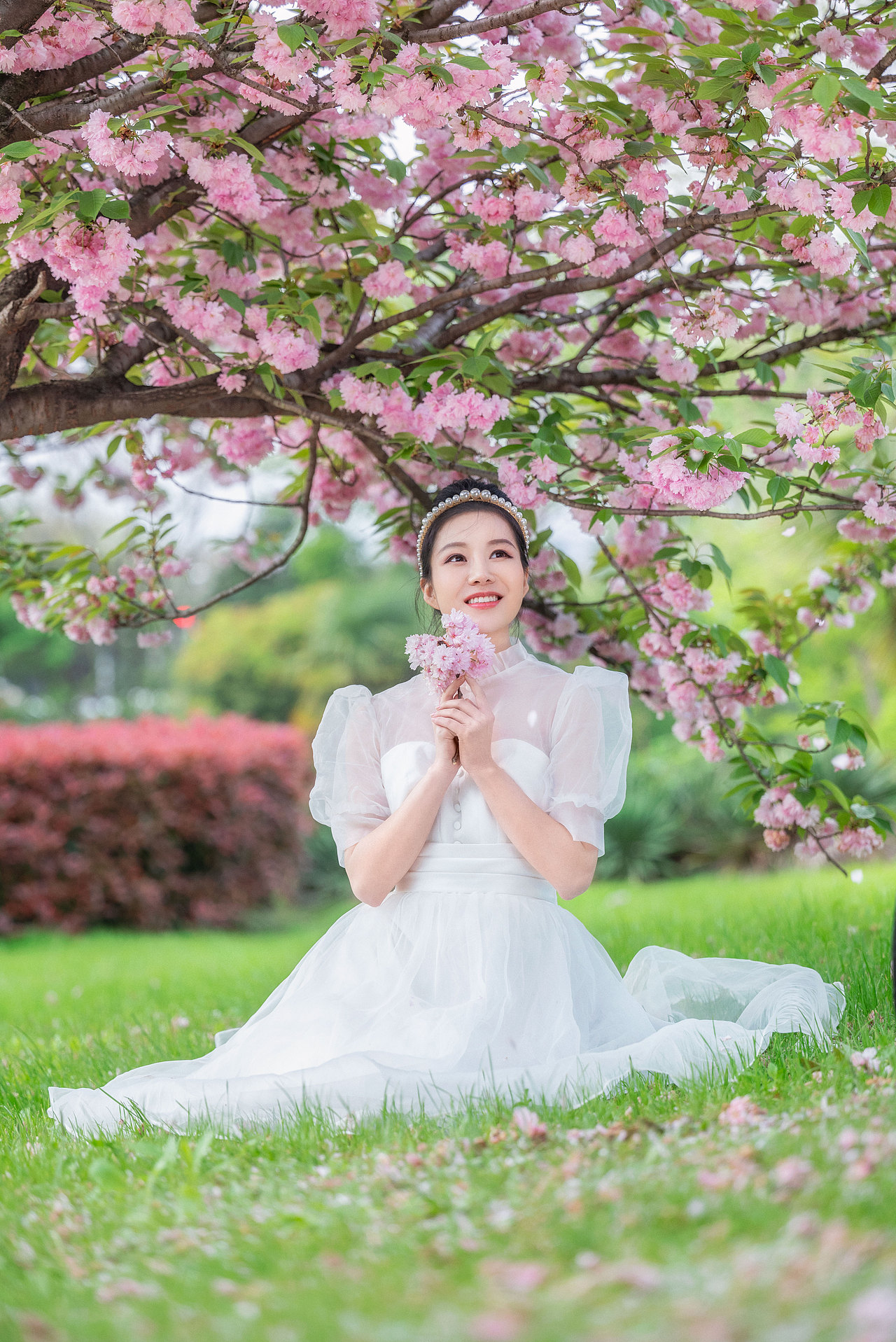 櫻花林（圖ZMzE1MTM2MDMy） - 人像攝影 - 站酷設(shè)計(jì)師糊涂仙人LEO原創(chuàng)素材 - 站酷ZCOOL
