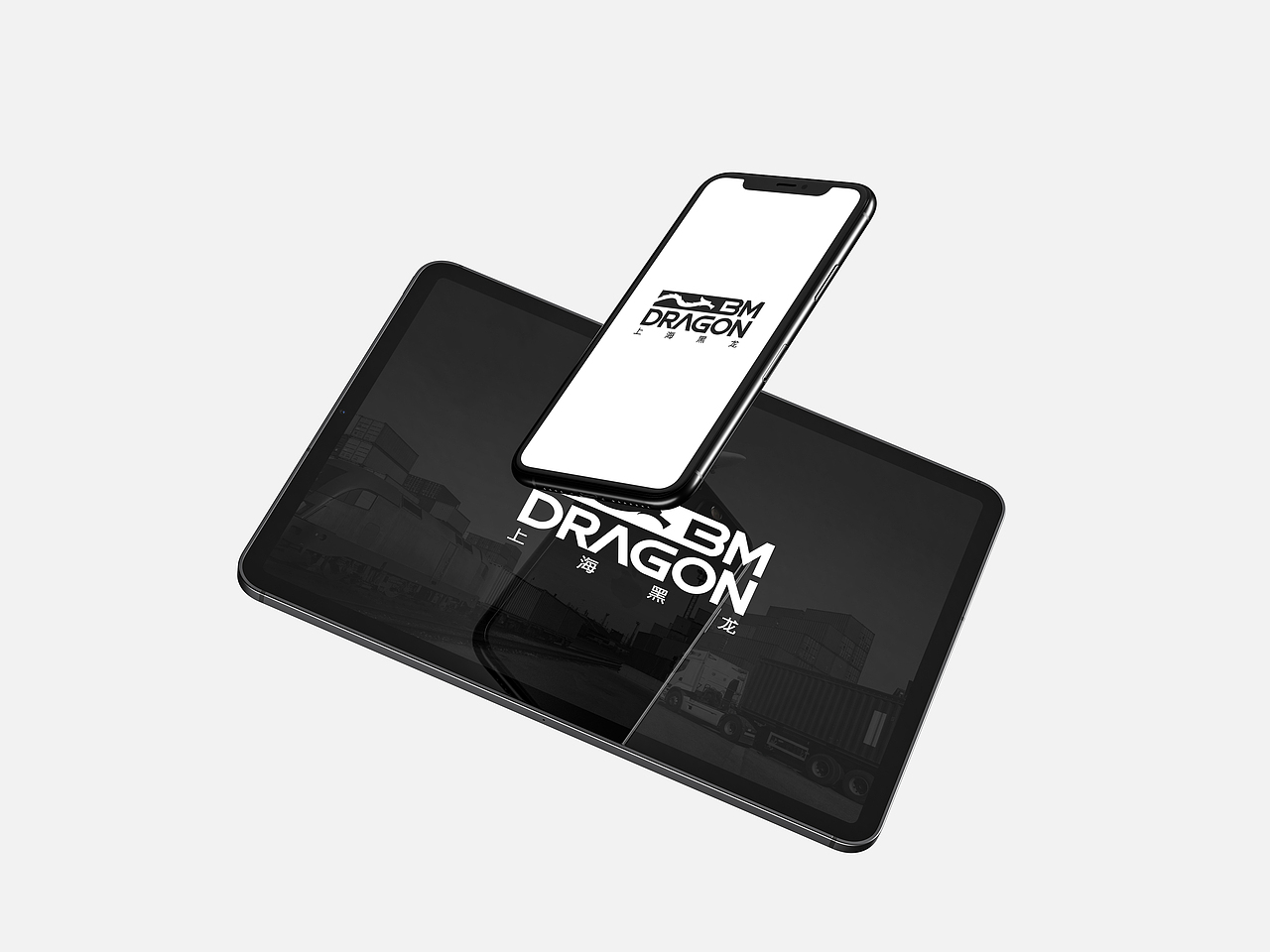 Black Mountain Dragon - Import and export company（图ZMzE5MDkyMzg4） - Logo - 站酷设计师rauli_design原创素材 - 站酷ZCOOL
