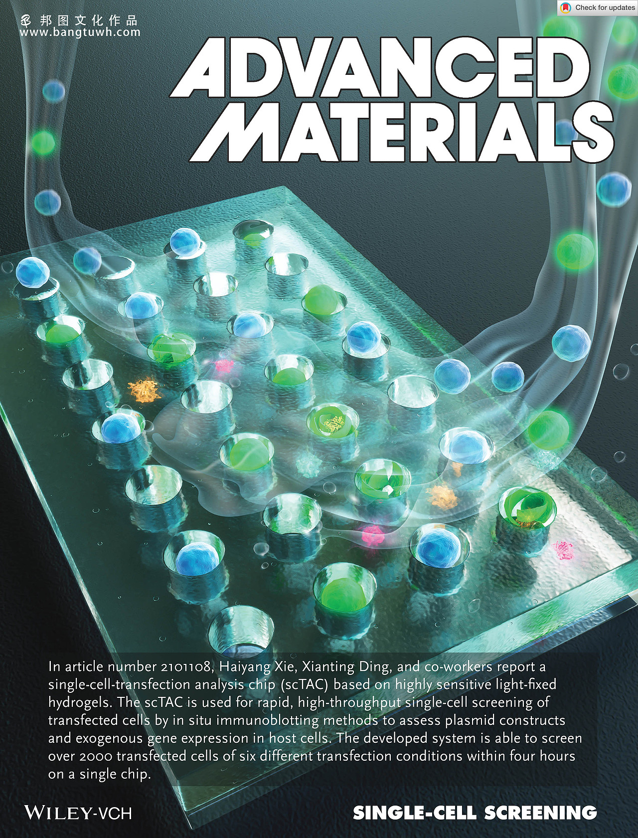 科研画图 学术期刊封面作品