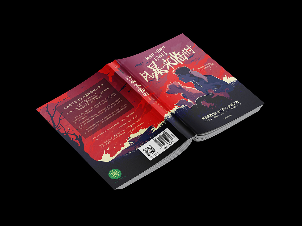 封面设计 青少年文学