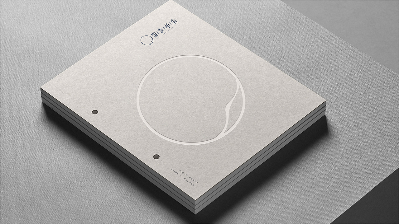 国泰华府 品牌vi视觉体系 logo设计 主KV设计 海报设计