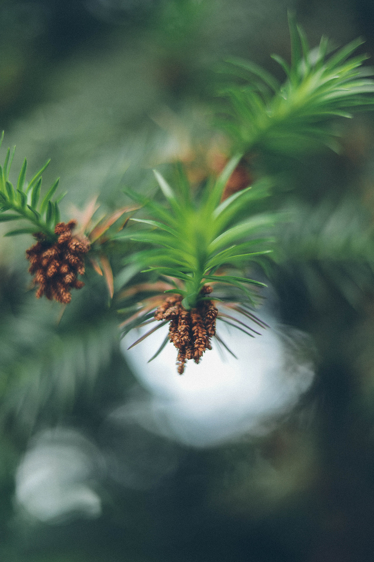 Summer Vibe（图ZMzQzMTg5NTI0） - 人文/纪实摄影 - 站酷设计师木里MULI原创素材 - 站酷ZCOOL