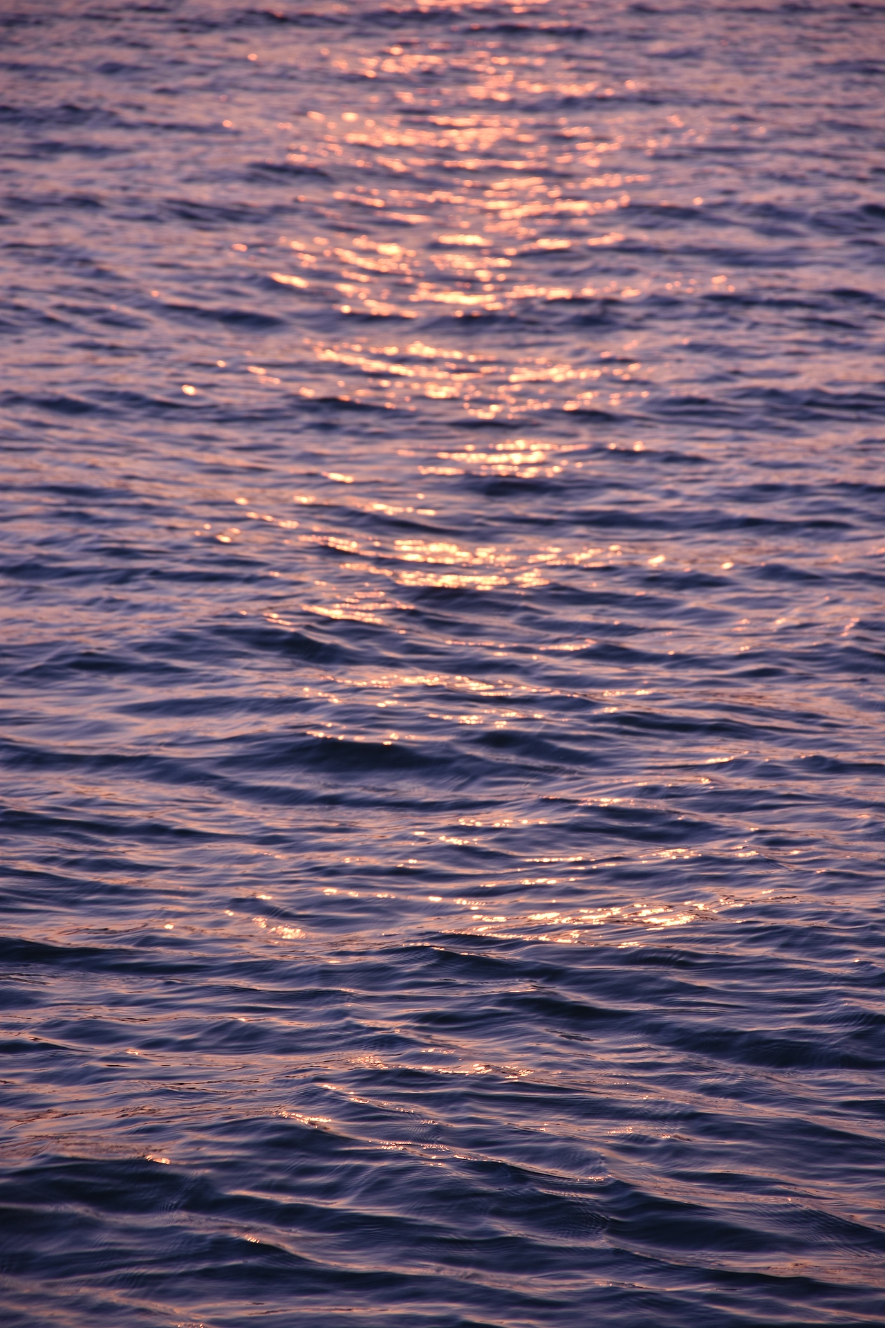 城市摄影：街头风光 — 东昌湖（图ZMzQ4MTcxMjk2） - 风光摄影 - 站酷设计师兜兜有块tang原创素材 - 站酷ZCOOL