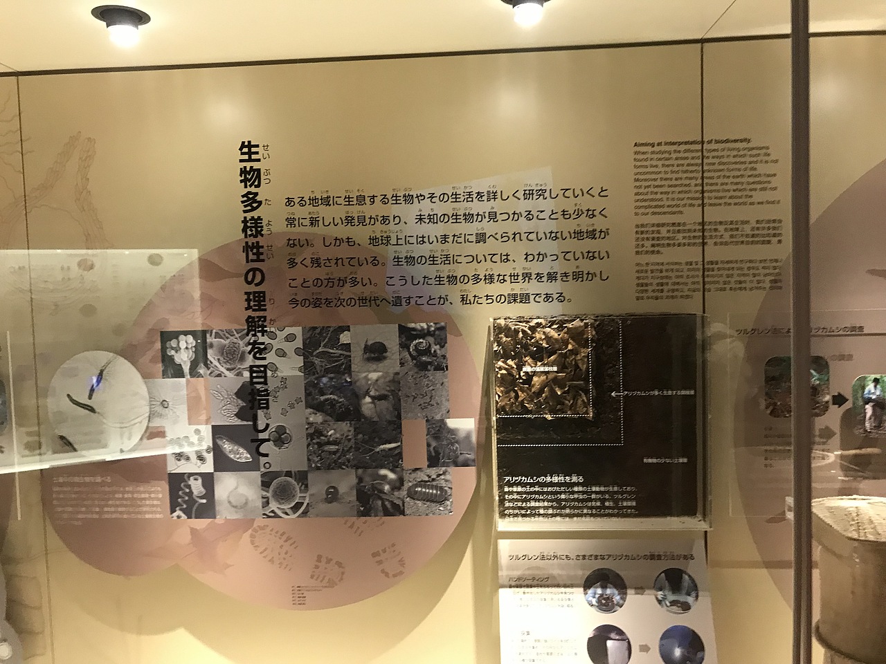 东京国立科学博物馆（图ZMzA5OTUwOTAw） - 展陈设计 - 站酷设计师JIANG2015原创素材 - 站酷ZCOOL