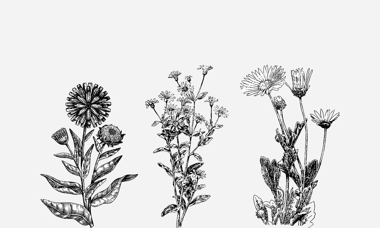 含片包装视觉形象提升