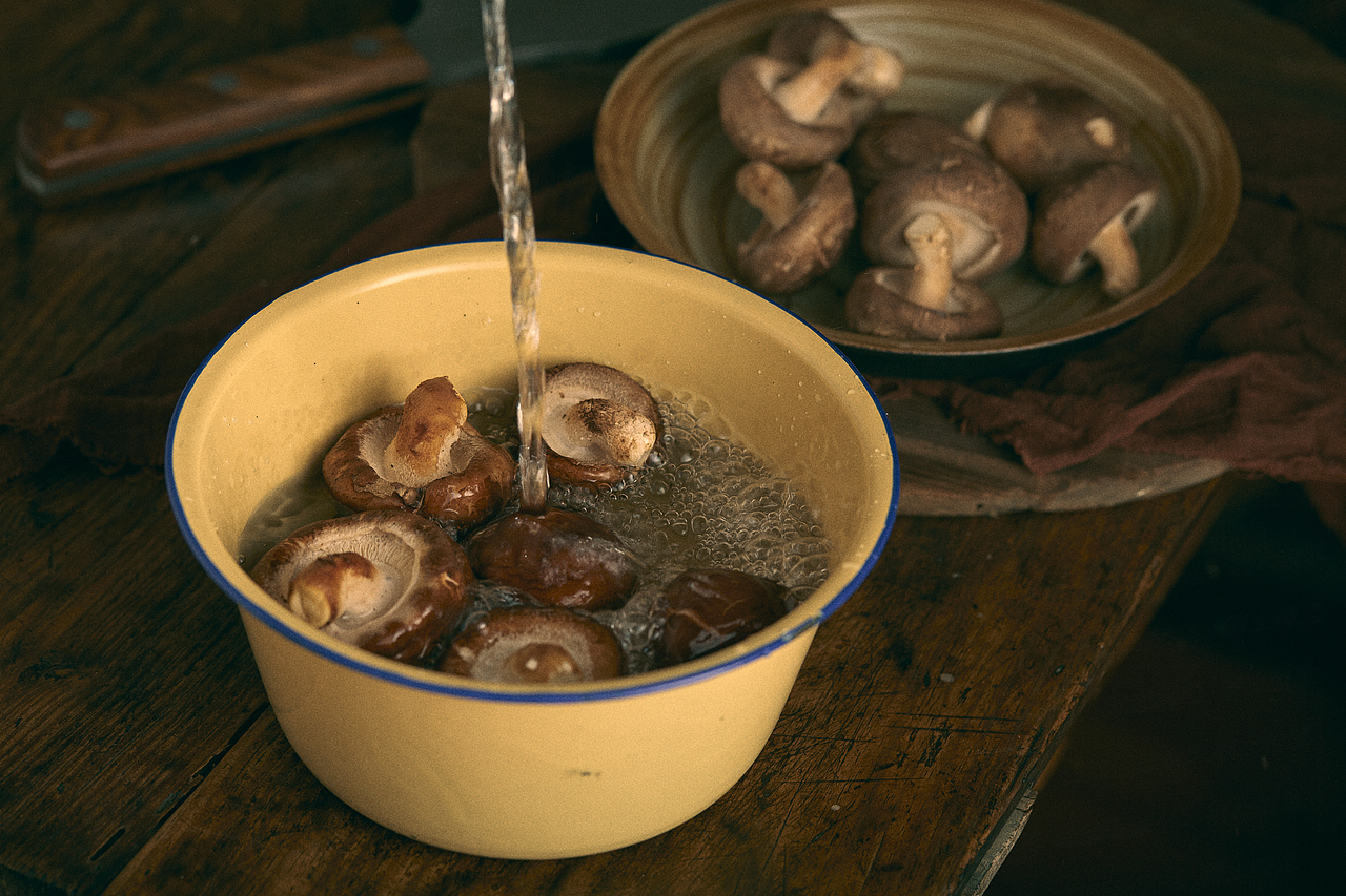 【国风静物】香菇