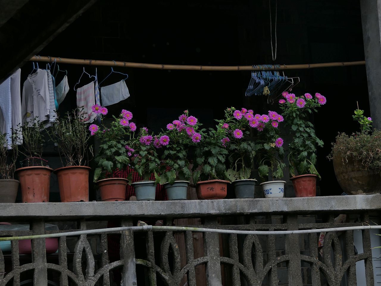 【新晃龙溪,一晃就老了】