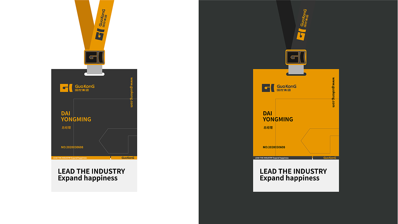 国控集团品牌设计(飞机稿)