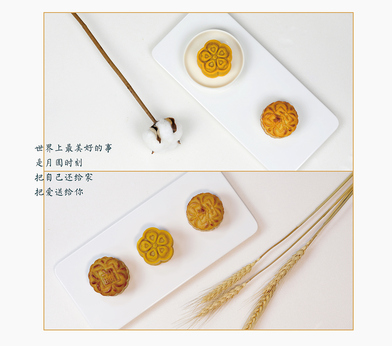 中秋月饼产品拍摄平面广告设计