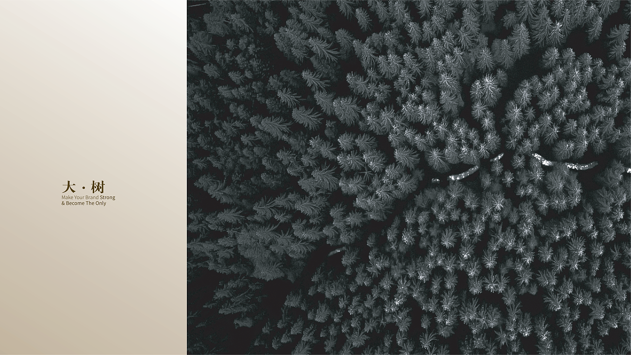 大树LOGO·概念提案