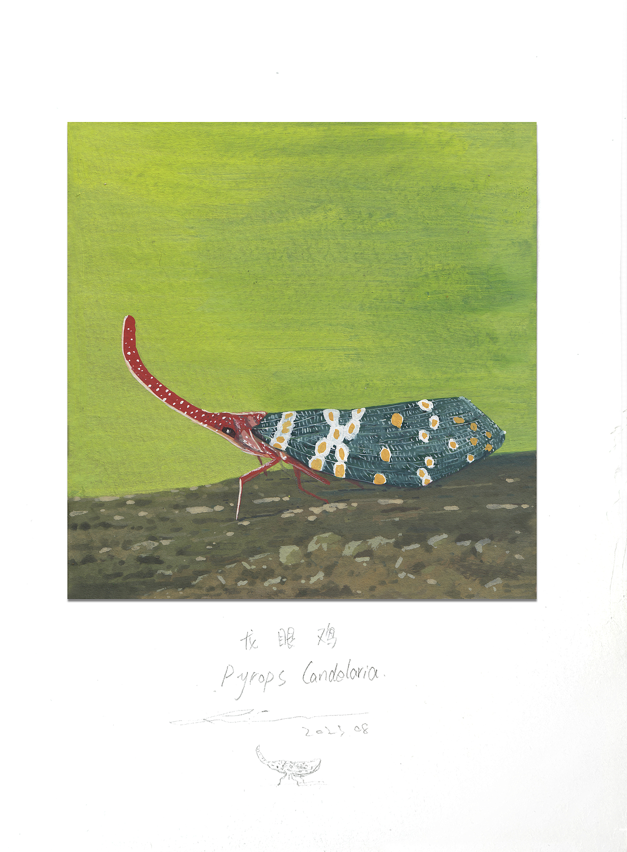 『画本系列』-我的第44本画本-日常习作