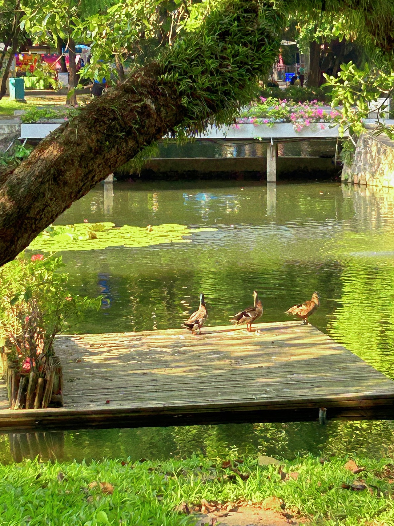 插画 《写生打卡》 夏日阳光（图ZMzQzOTE1NjU2） - 创作习作 - 站酷设计师插画师拖把原创素材 - 站酷ZCOOL