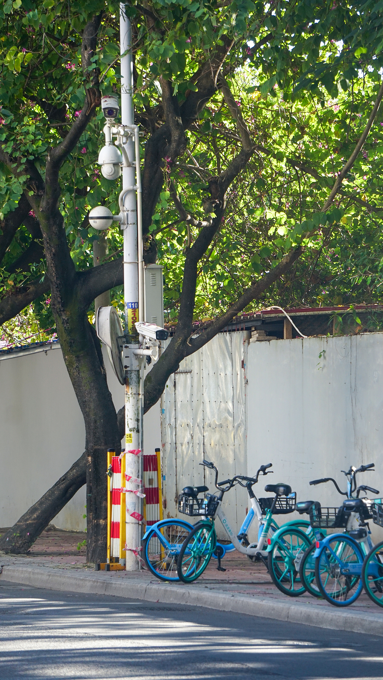 福州扫街221218（图ZMzI1ODA0MjEy） - 人文/纪实摄影 - 站酷设计师炭烤旺旺原创素材 - 站酷ZCOOL