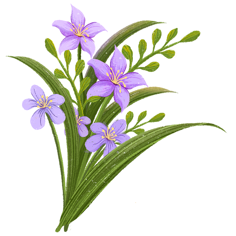 服装banner图，女款衣服轮播图（图ZMzE5MTYwMzg0） - 休闲/流行服饰 - 站酷设计师TZLY原创素材 - 站酷ZCOOL