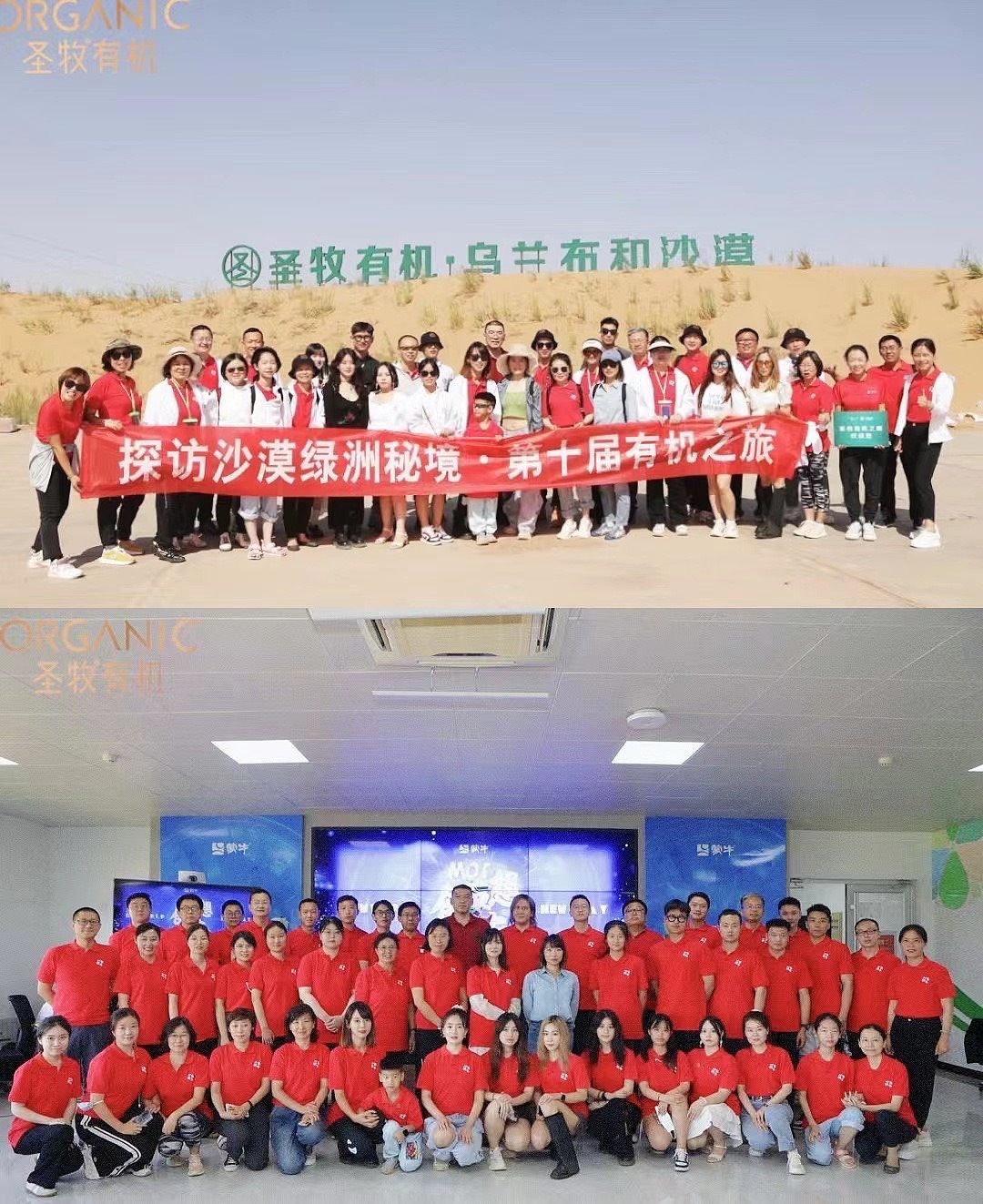 蒙牛 —《元气萌主奇遇记》（图ZMzEzNzUzMjU2） - 商业插画 - 站酷设计师COUBAO凑宝设计原创素材 - 站酷ZCOOL