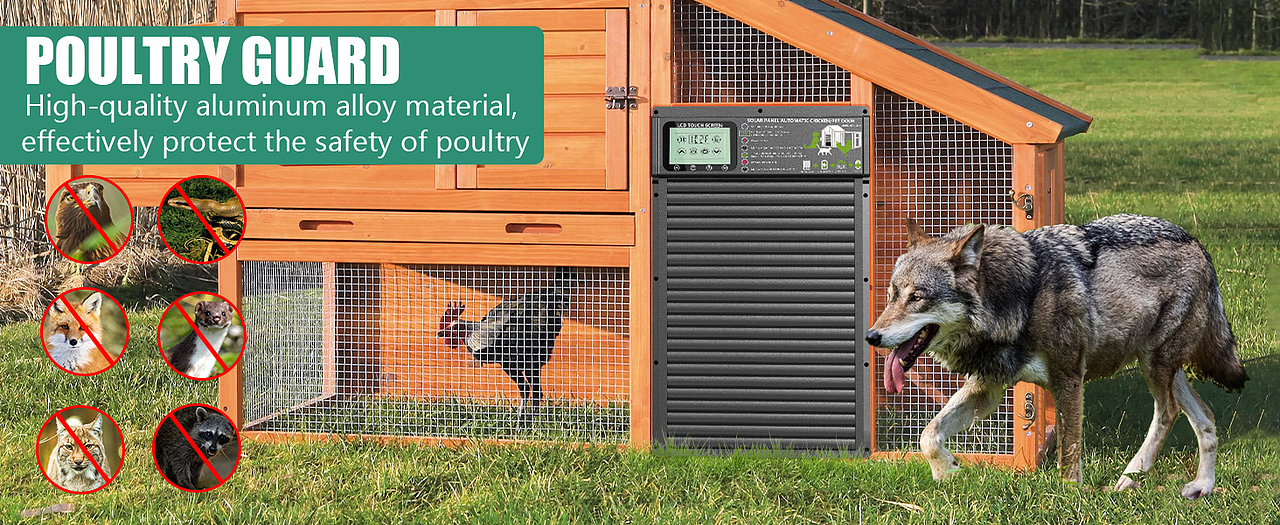 亚马逊鸡舍门（图ZMzY2MDE2MTEy） - 海报 - 站酷设计师墨临文化原创素材 - 站酷ZCOOL