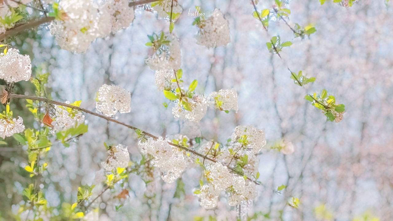 手机摄影合集2（图ZMjk5NzA4OTQ0） - 风光摄影 - 站酷设计师限时救援原创素材 - 站酷ZCOOL