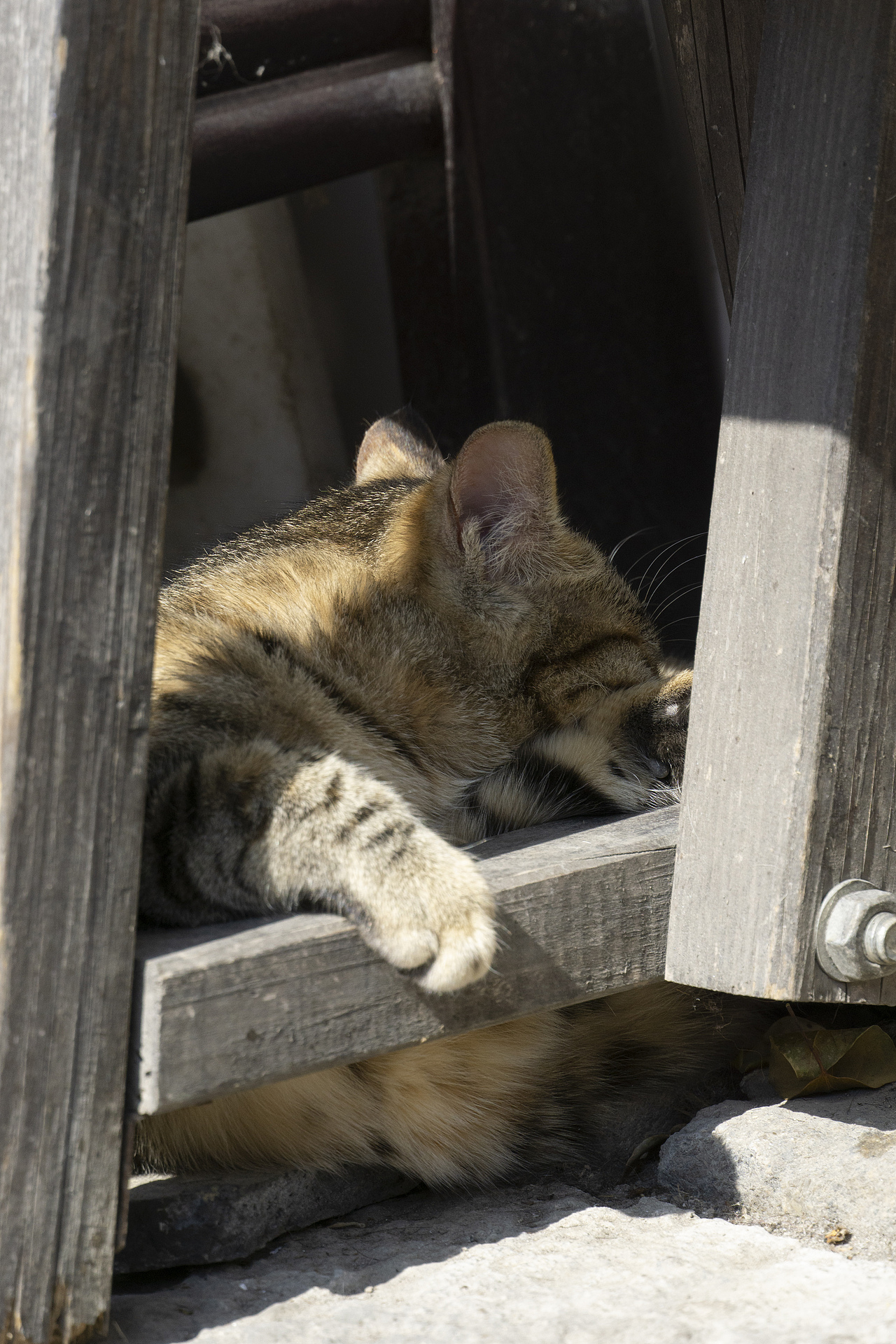 2022-2023年度照片📷（图ZMzU4NTA2MDg0） - 风光摄影 - 站酷设计师程小灰啊原创素材 - 站酷ZCOOL
