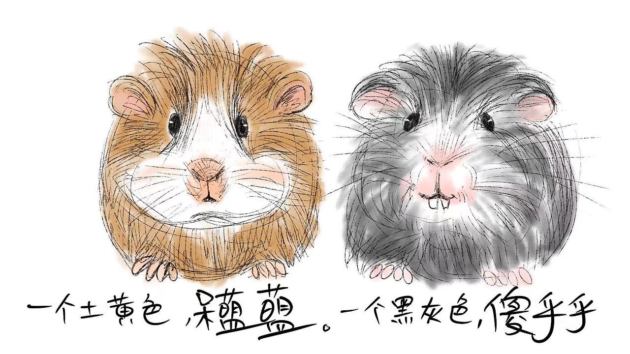 说一说童年难忘惊悚轶事(故事有点长)