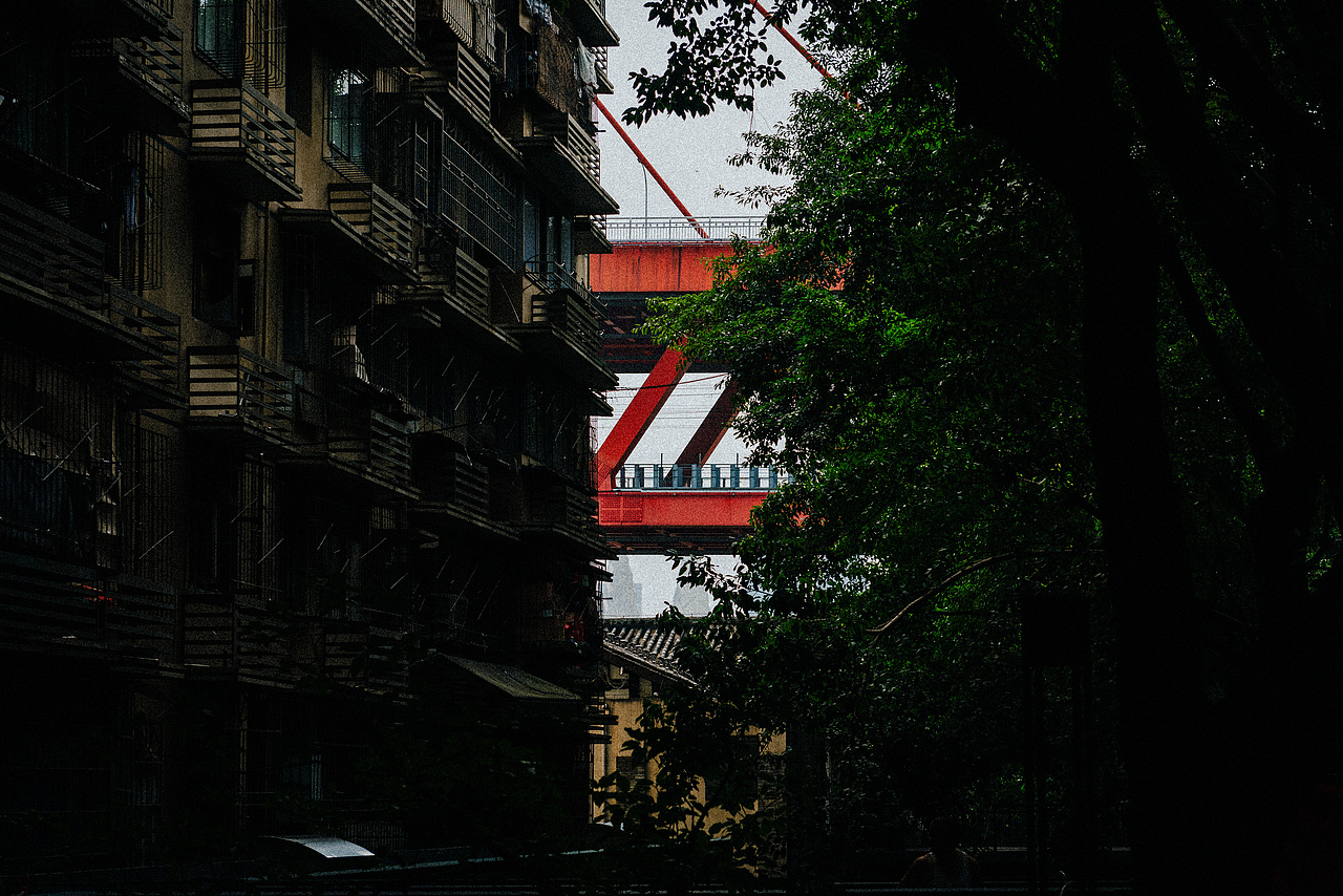 等春来（图ZMzIzMzcxOTY4） - 人文/纪实摄影 - 站酷设计师摄影师田由甲原创素材 - 站酷ZCOOL