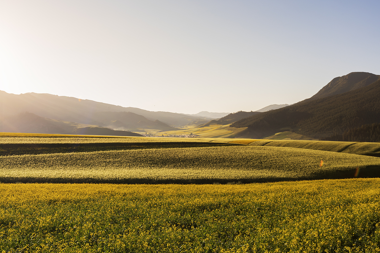 我的摄影日记——祁连（图ZMzQ2NDAyNjc2） - 风光摄影 - 站酷设计师乌鸦的麦田原创素材 - 站酷ZCOOL