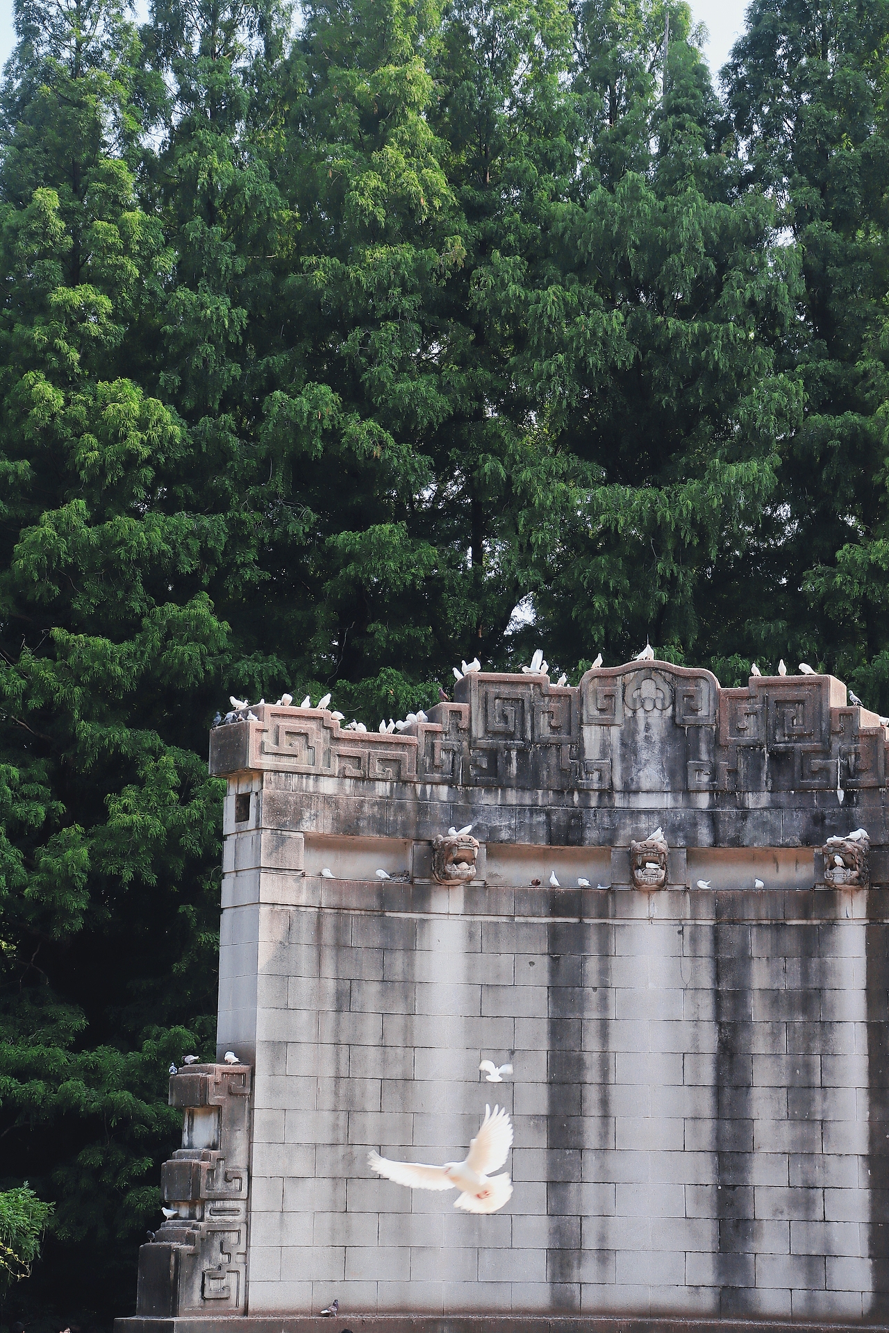 是南京城，亦可是金陵城（图ZMzY5OTQ2ODky） - 风光摄影 - 站酷设计师JSky_猫原创素材 - 站酷ZCOOL