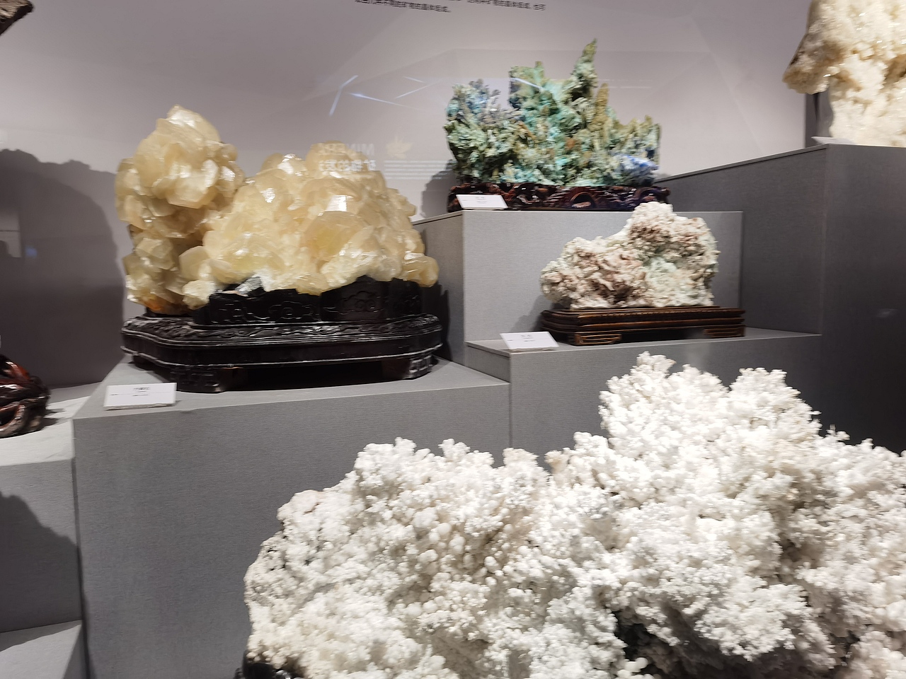 成都自然博物馆（图ZMzI0NTI3MzY0） - 展陈设计 - 站酷设计师聚光灯下锦衣夜行原创素材 - 站酷ZCOOL