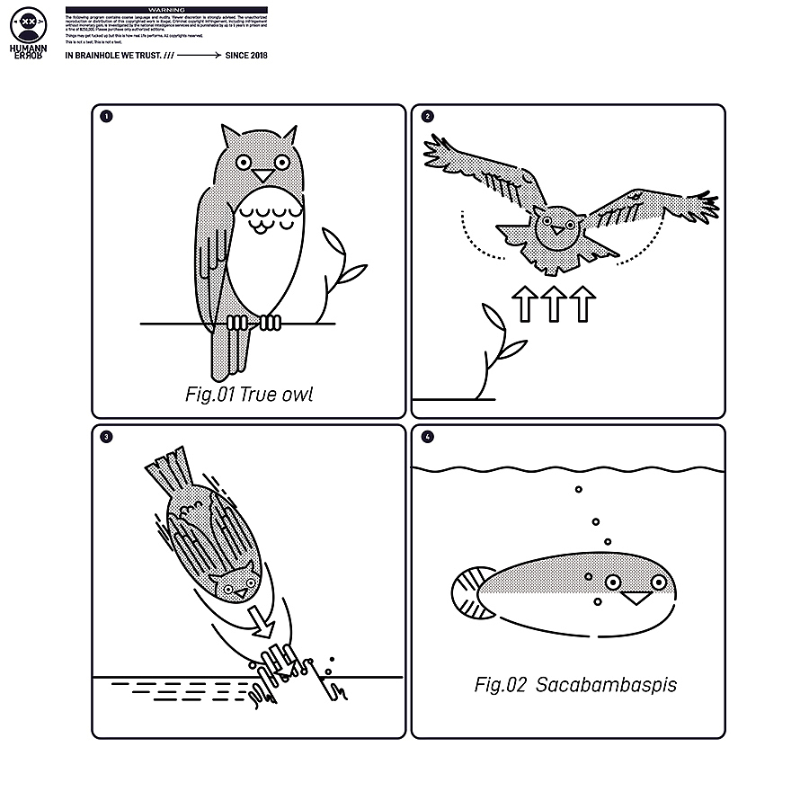 Human Xrror 20240514