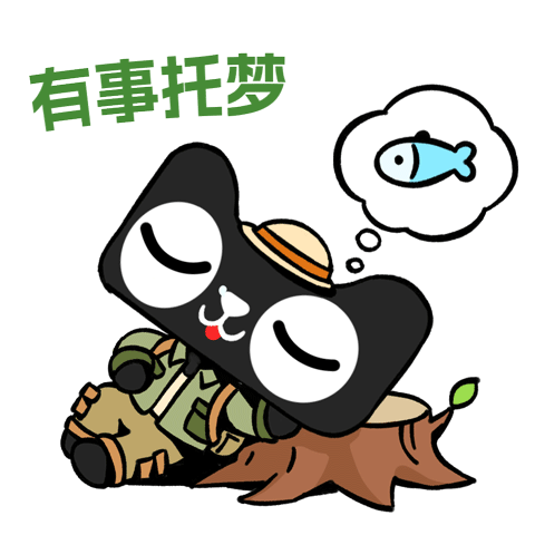 2023,被这只全网最吸金的猫帅到了