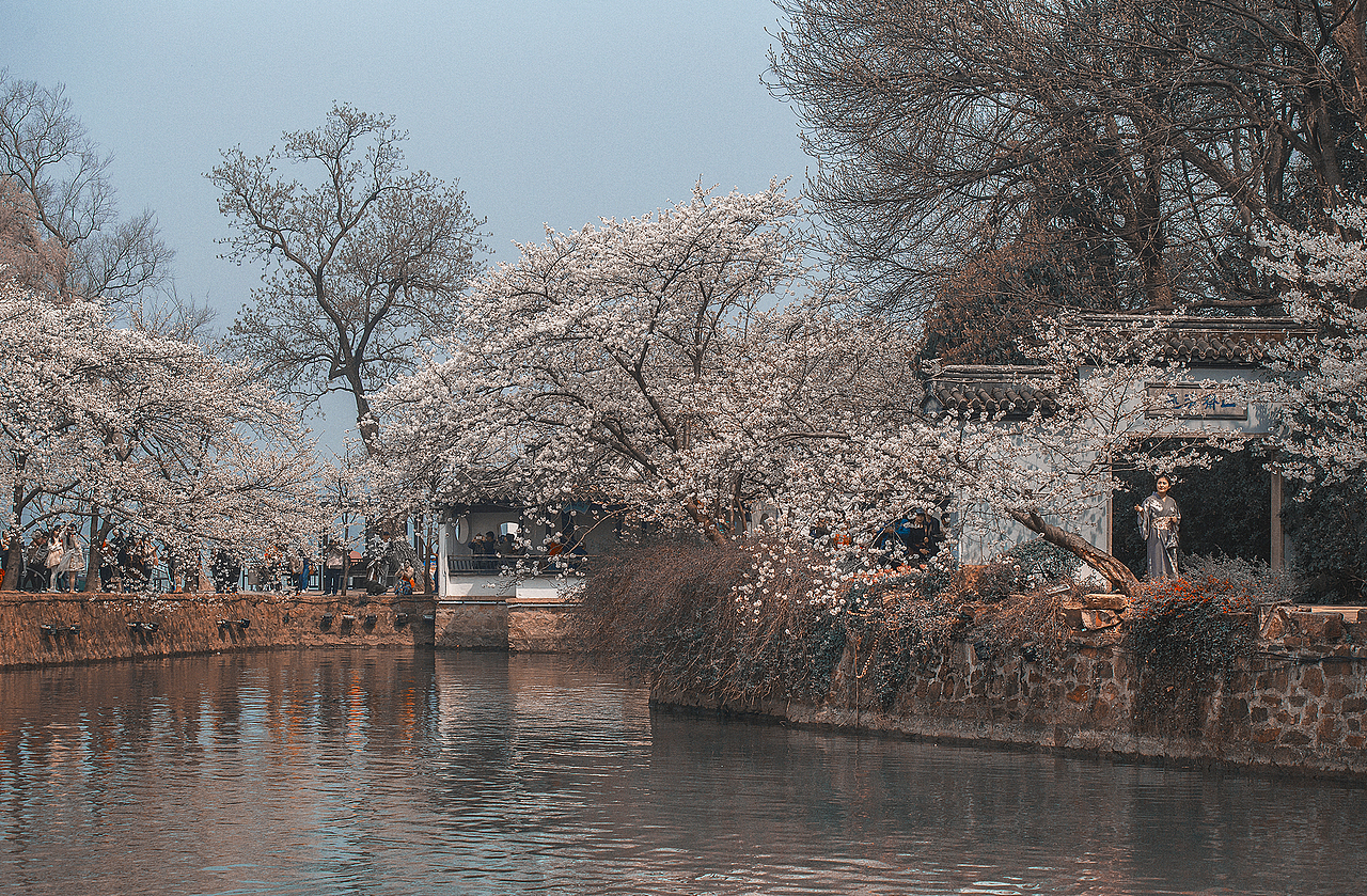 【浪漫樱花谷】（图ZMzM1ODUyMzky） - 风光摄影 - 站酷设计师老陆逍遥原创素材 - 站酷ZCOOL