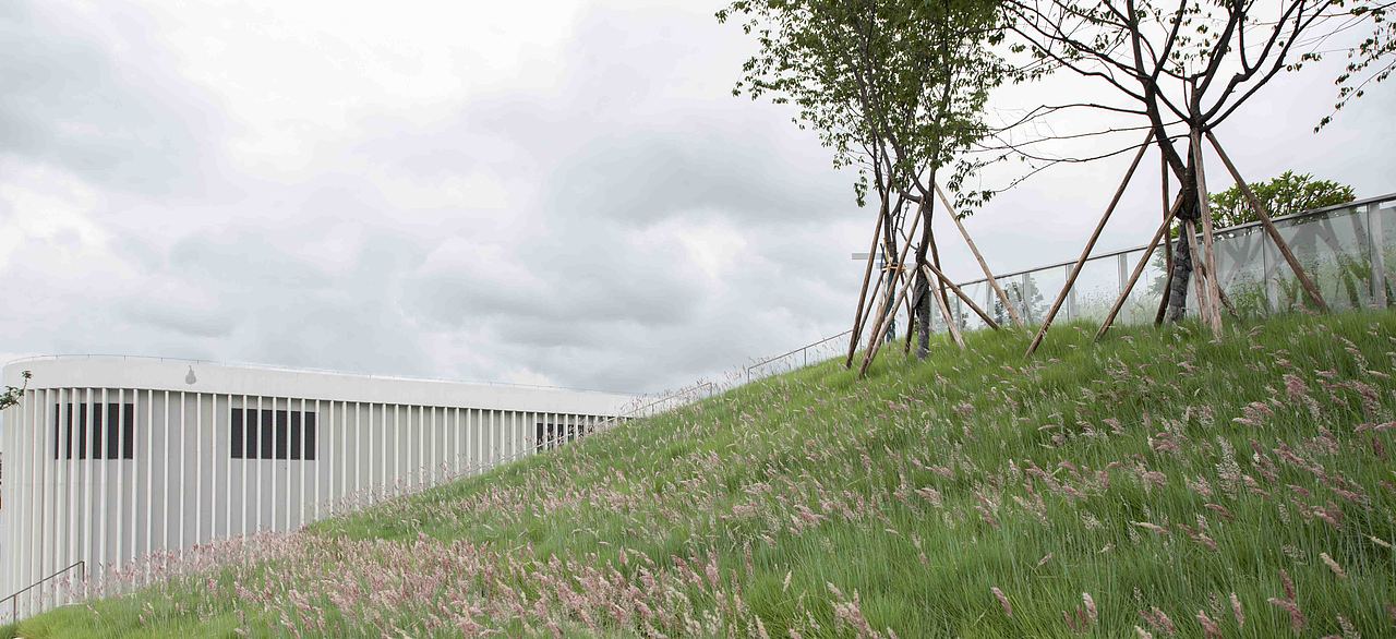 深圳市龙华区文化体育发展中心