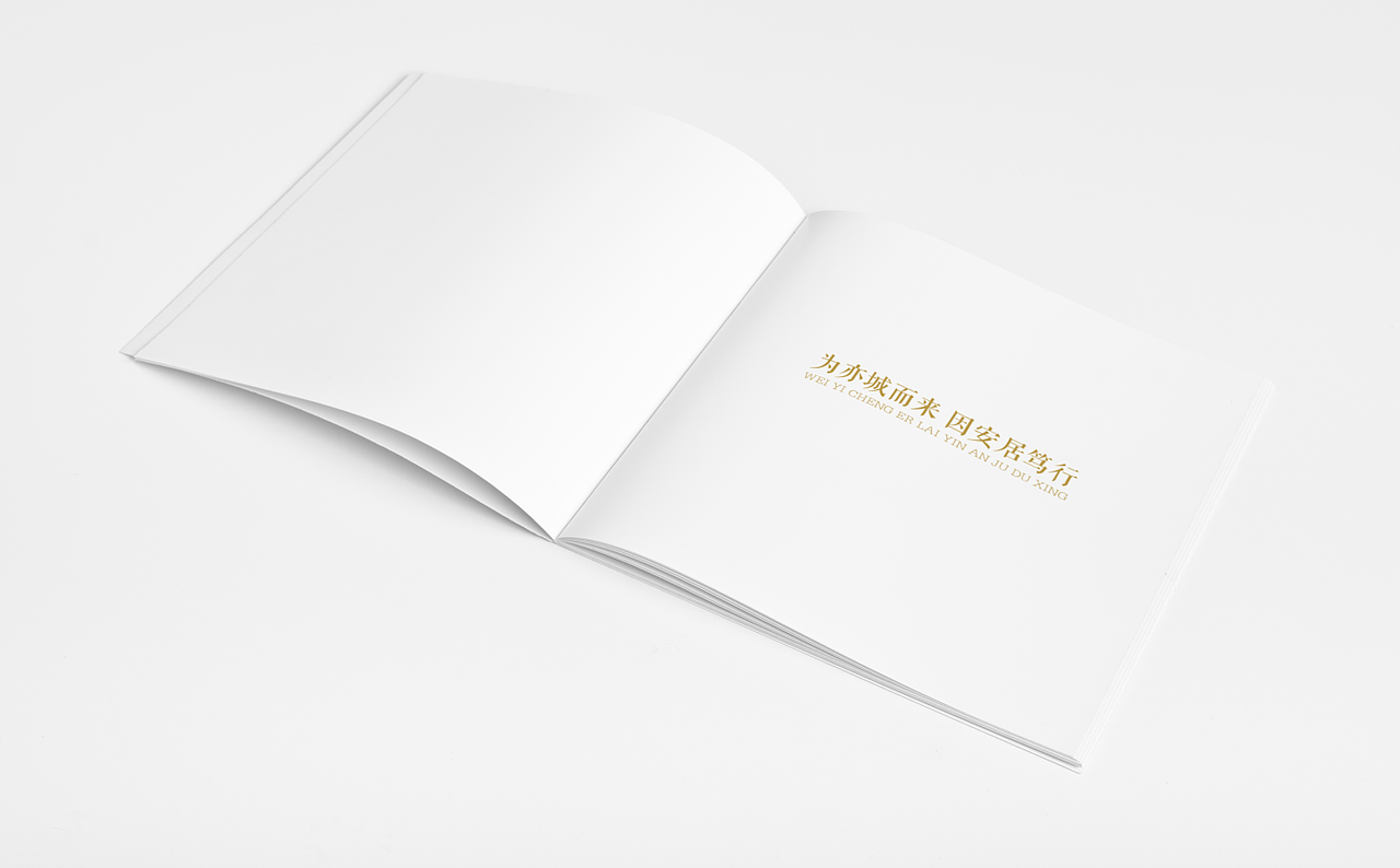 房地产公司企业宣传画册