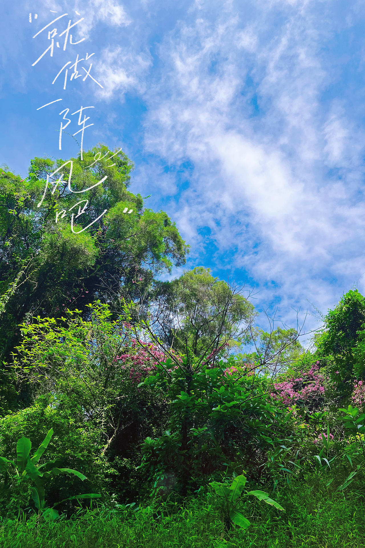 春天~（图ZMzM2MzcxODQ0） - 风光摄影 - 站酷设计师珍珍圈圈原创素材 - 站酷ZCOOL