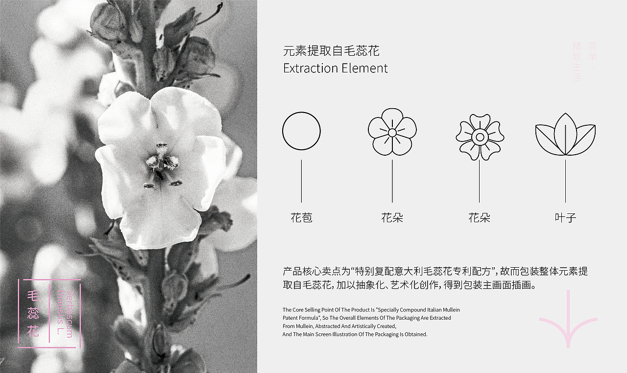 【醒狮】- 婷娟壹生美妆品牌系列包装方案（图ZMzM2MzgyMDA0） - 包装 - 站酷设计师醒狮品牌文化传播原创素材 - 站酷ZCOOL