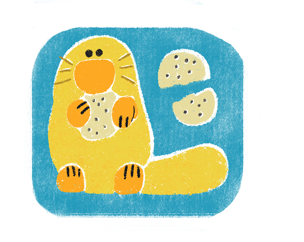 天上掉下个鸭嘴兽